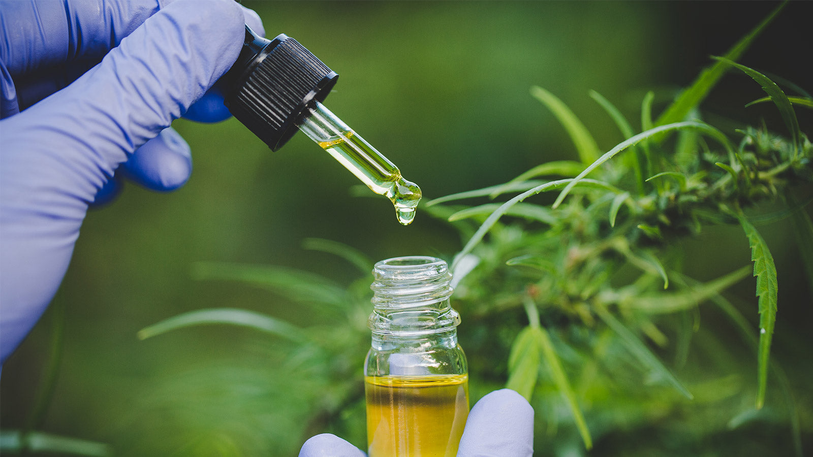 What is Nano CBD