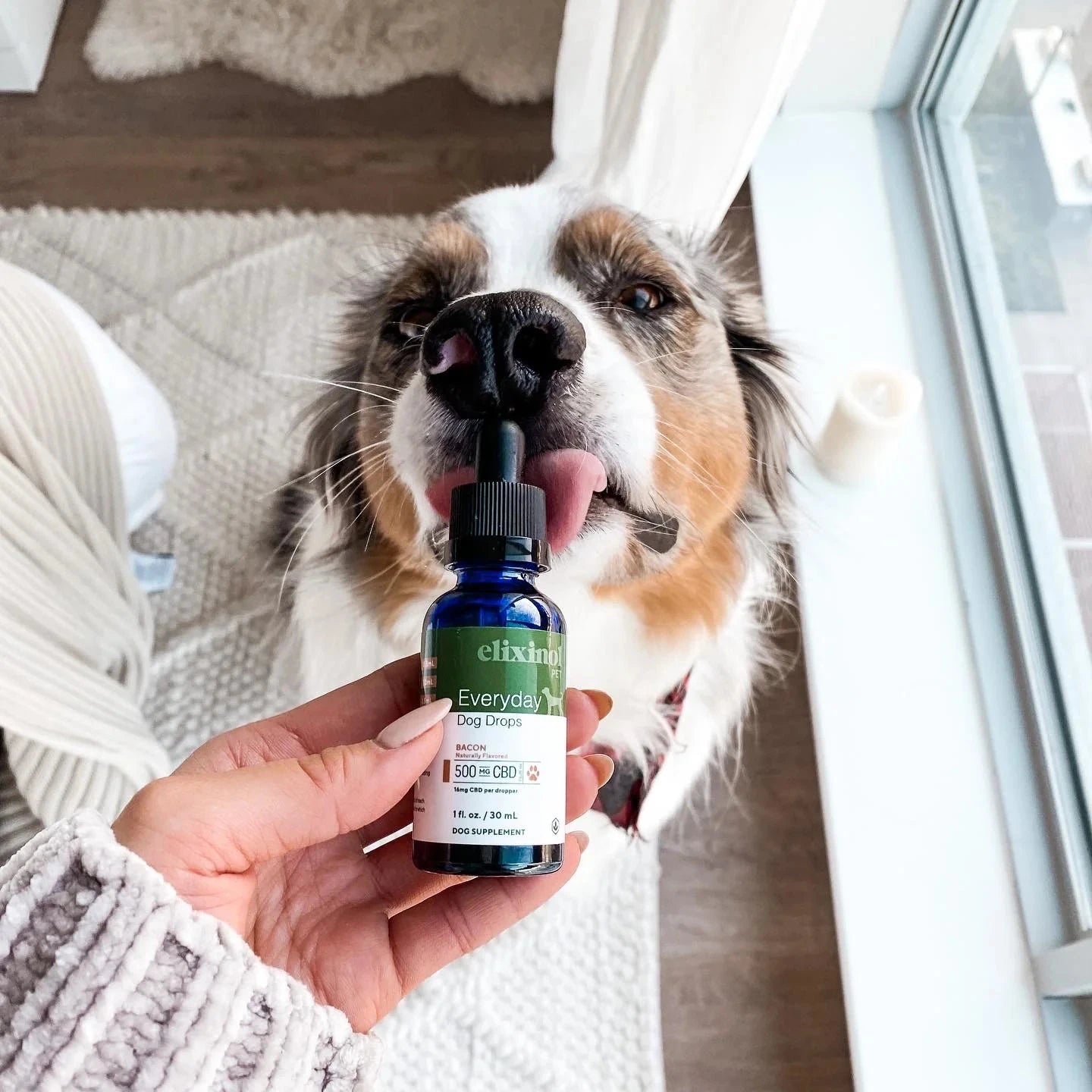 A dog licking a bottle of Every Day Dog Drops that is being held by its owner
