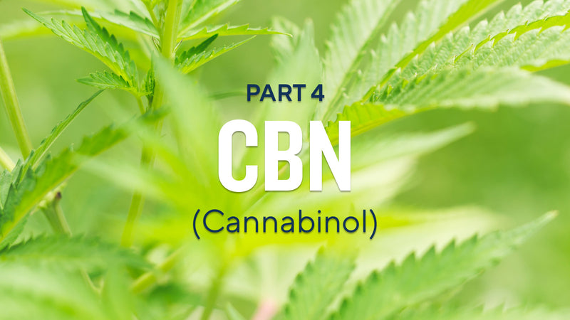 Cannabinoids Explained (Part 4): Cannabinol (CBN)