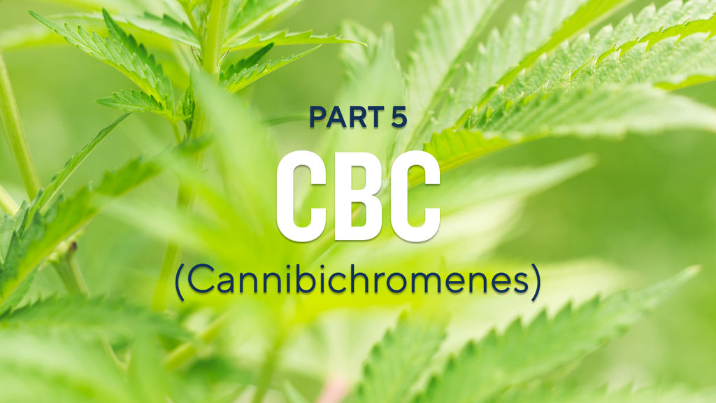 Cannabinoids Explained 5: Cannabichromene (CBC) | Elixinol