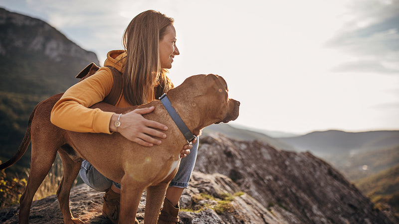 Woman hiking with her dog after giving them CBD.