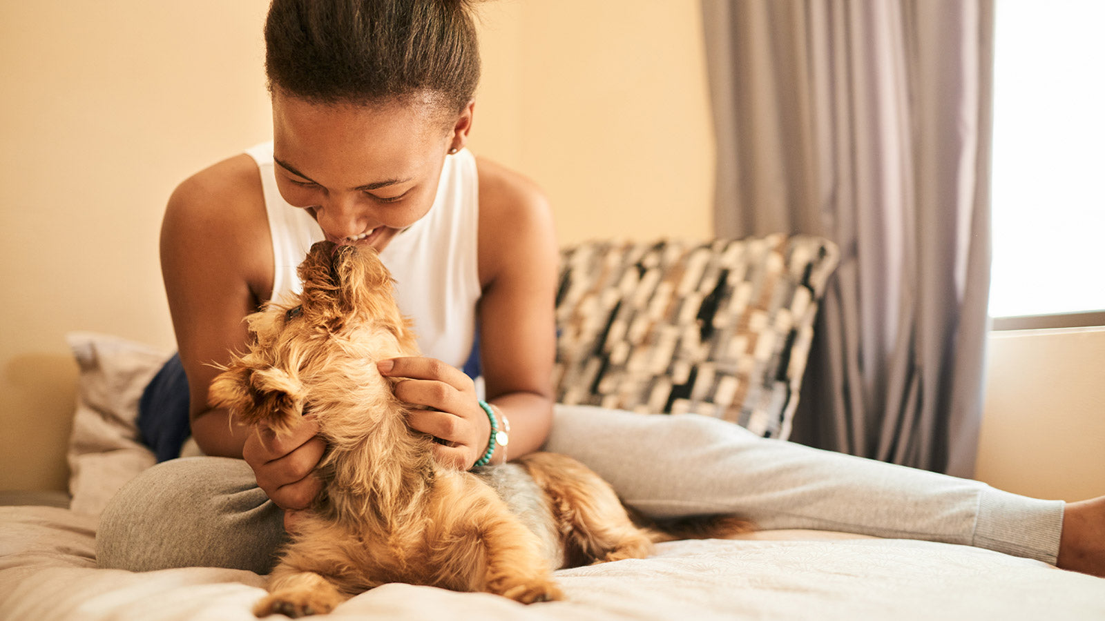 Small dog cuddling with owner after taking CBD.