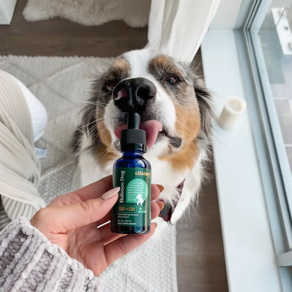 Balance Dog 1000mg