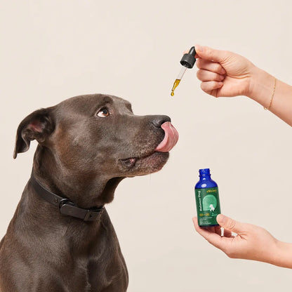 Balance Dog 1000mg